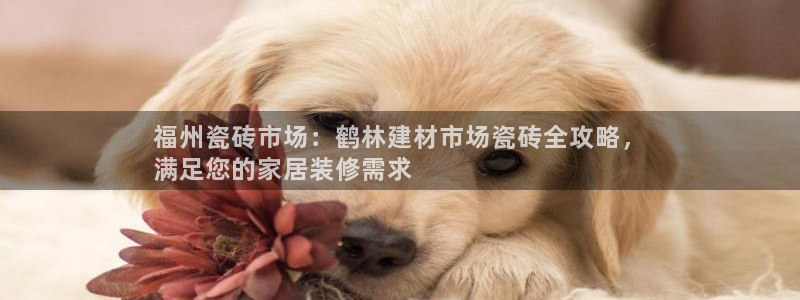 杏鑫官网注册账号是什么意思