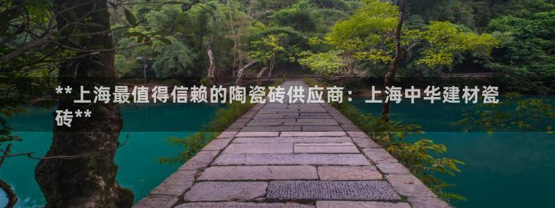 杏鑫代理注册资金多少