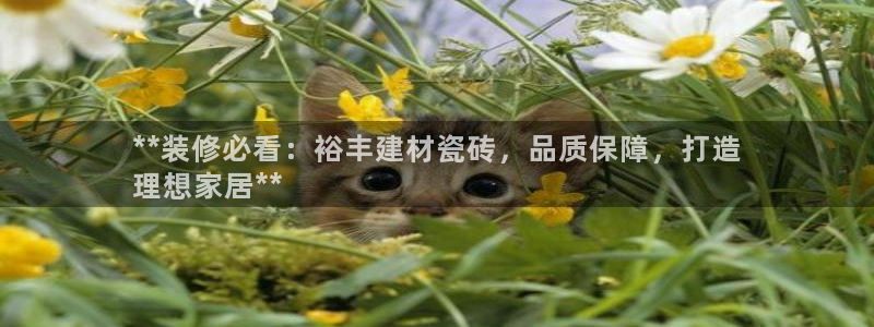 杏鑫娱乐官方网站客户端下载安装