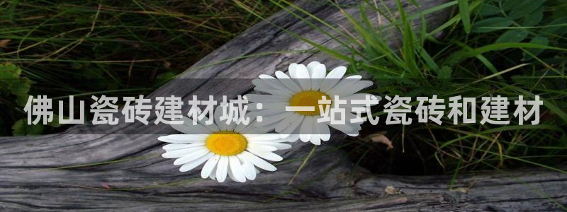 杏鑫官方平台怎么样啊安全吗