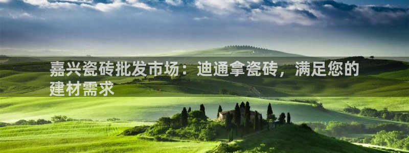 杏鑫手机客户端