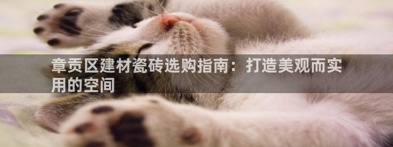 杏鑫官网注册账号是什么样的