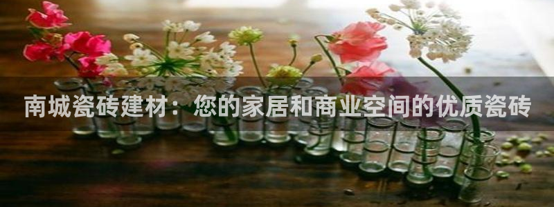 杏鑫手机客户端怎么下载