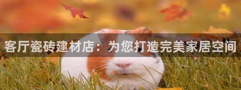 杏鑫平台登陆
