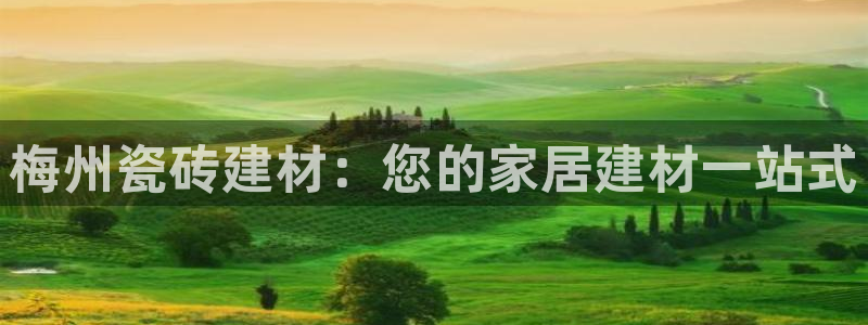 杏鑫平台代理怎么做