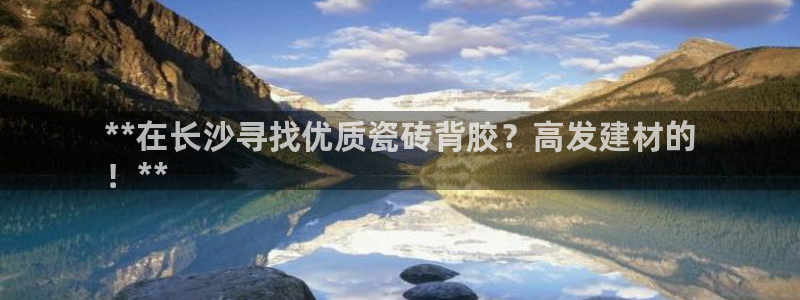 杏鑫娱乐开发团队