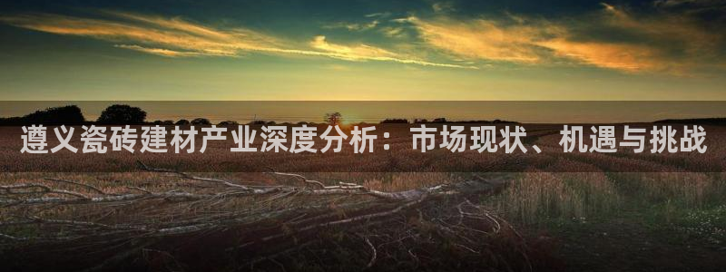 杏鑫平台代理怎么样