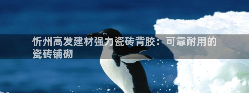 杏鑫平台代理注册要钱吗