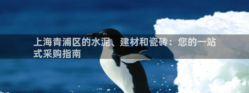 杏鑫平台代理怎么做