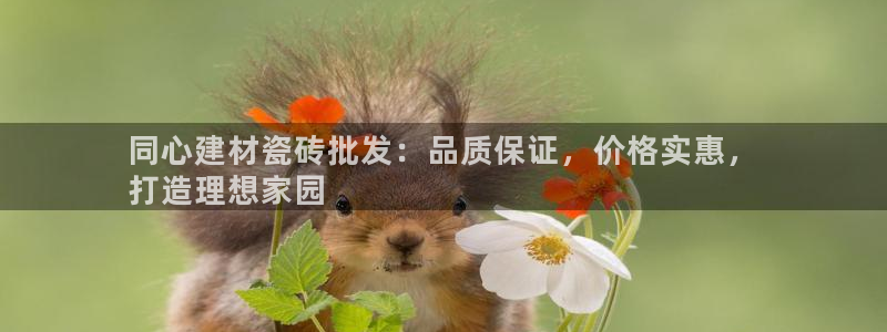 杏鑫娱乐官网首页