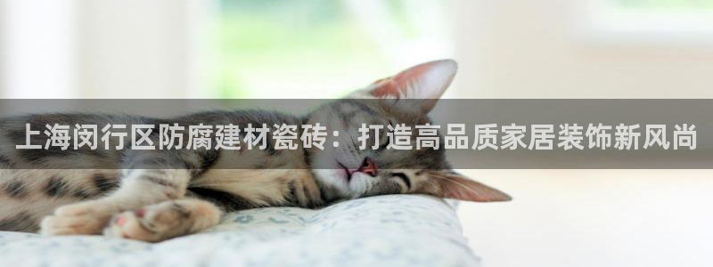 杏鑫平台测速怎么样