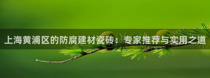 杏鑫官方平台怎么样啊安全吗