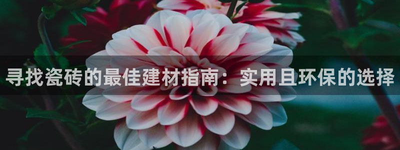 杏鑫代理注册资金多少