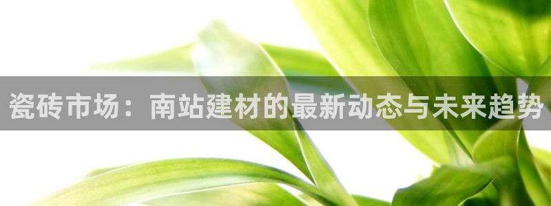 杏鑫平台招商怎么样啊