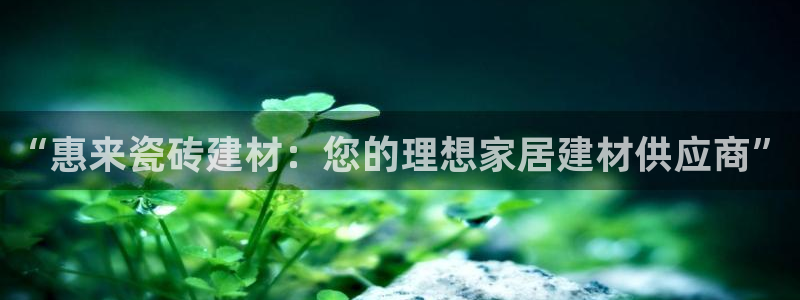杏鑫平台在线注册流程