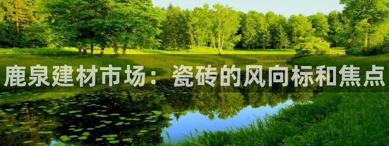 杏鑫平台登录地址在哪