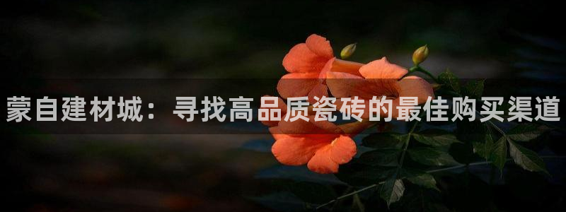 杏鑫平台正规吗