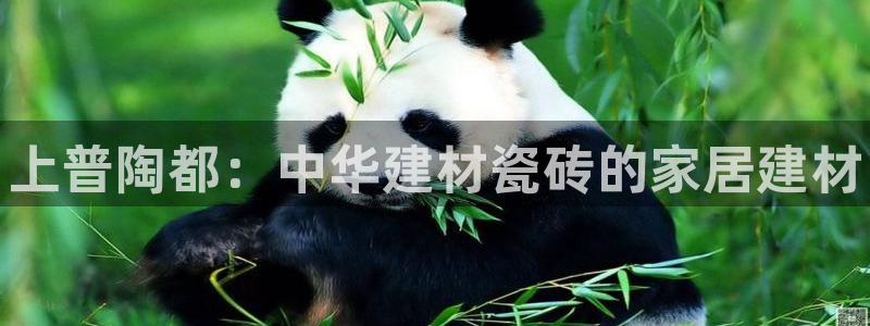 杏鑫平台怎么样黑钱吗是真的吗还是假的