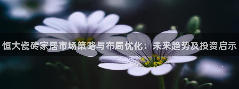 杏鑫平台注册入口