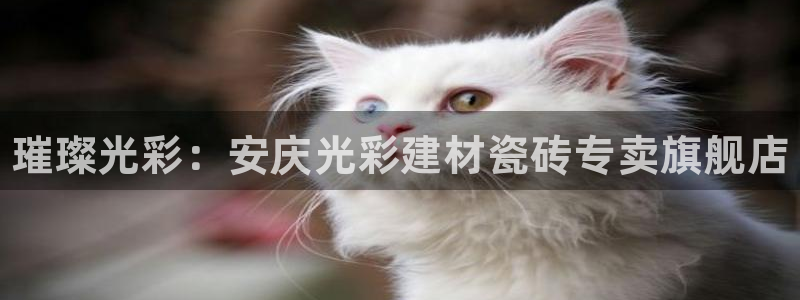 杏鑫平台怎么样黑钱吗是真的吗还是假的