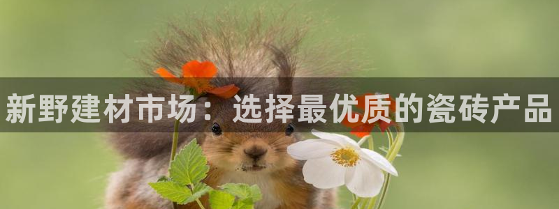 杏鑫平台登录地址