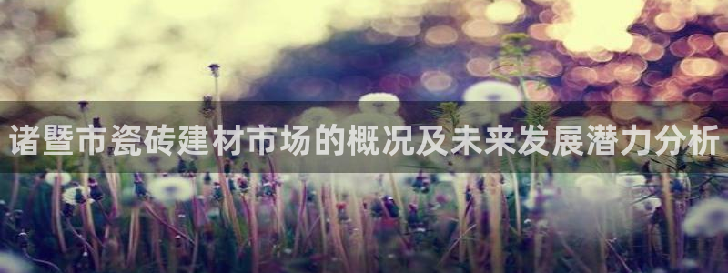 杏鑫平台注册地址是哪里