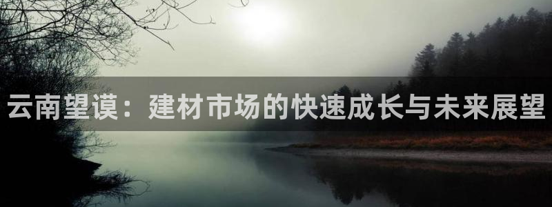 杏鑫手机客户端怎么下载