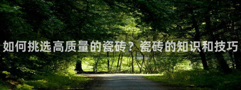 杏鑫娱乐怎么样