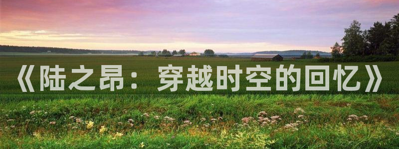 神马电影我不卡电影院八戒午夜