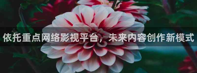 神马影院我不卡电影在线观看：依托重点网络影视平台，未来内容创作新模式