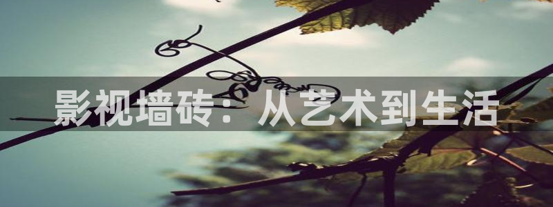 神马电影网我不卡电影：影视墙砖：从艺术到生活