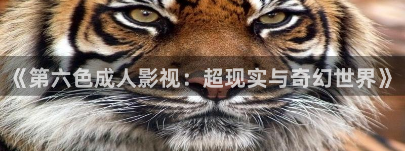 神马我不卡电影在线观看：《第六色成人影视：超现实与奇幻世界》