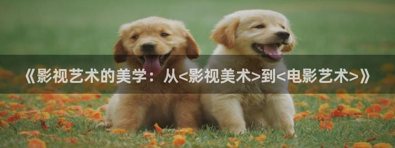我不卡电影影院：《影视艺术的美学：从<影视美术>到<电影艺术>》