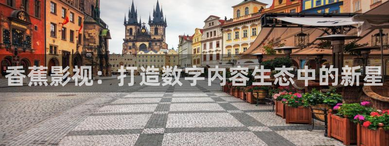 神马我不卡电影网