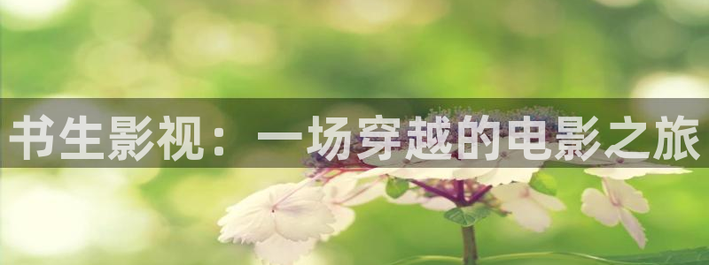 神马我不卡电影在线观看：书生影视：一场穿越的电影之旅