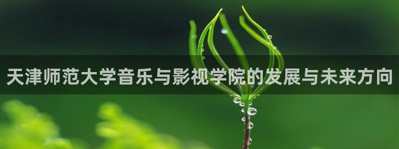 神马电影我不卡电影院八戒午夜：天津师范大学音乐与影视学院的发展与未来方向