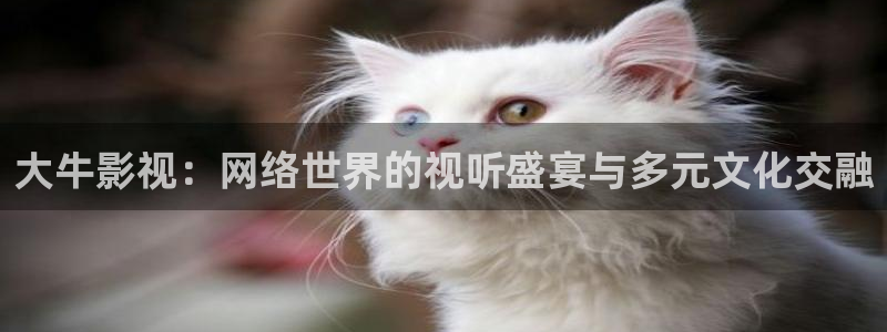 我不卡电影免费
