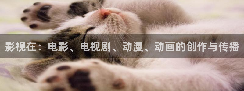 神马三级我不卡电影网：影视在：电影、电视剧、动漫、动画的创作与传播